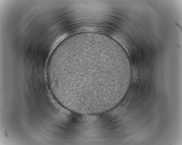 X0000094951090200712271652