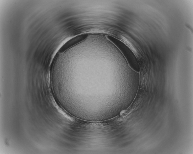 X0000094951092200712271652