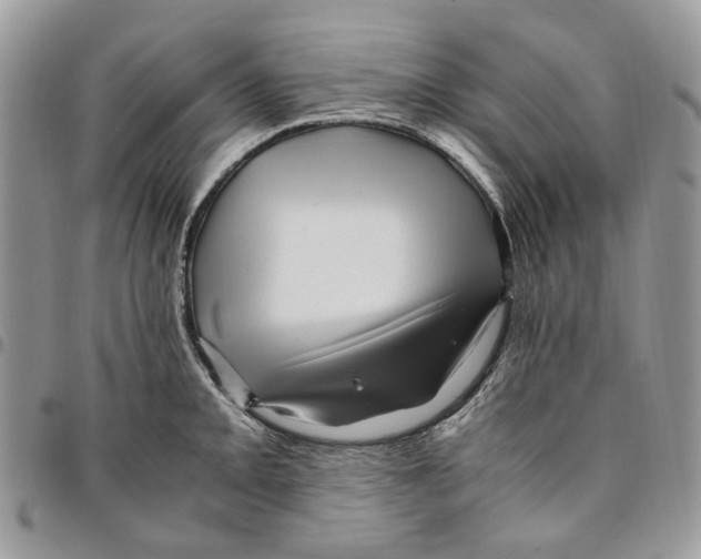 X0000094951093200712271652