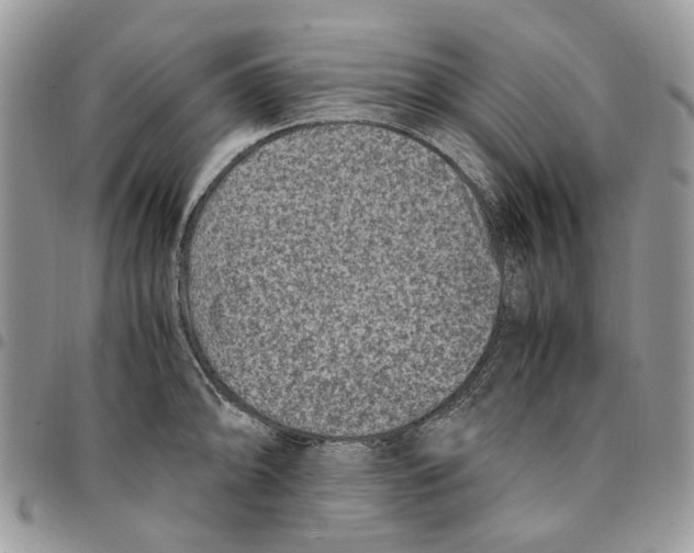 X0000094951094200712271652