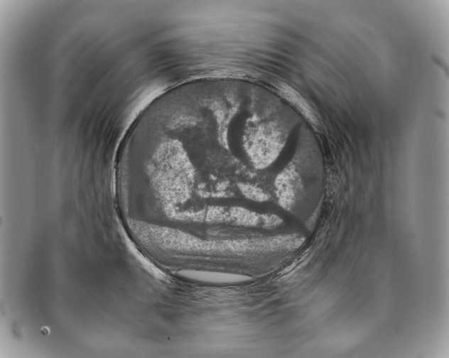 X0000094951095200712271652