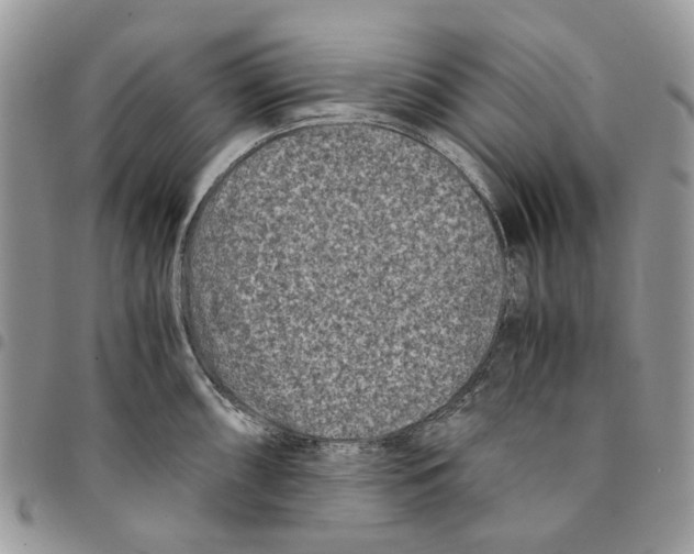 X0000094951098200712271652