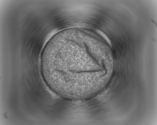 X0000094951099200712271652