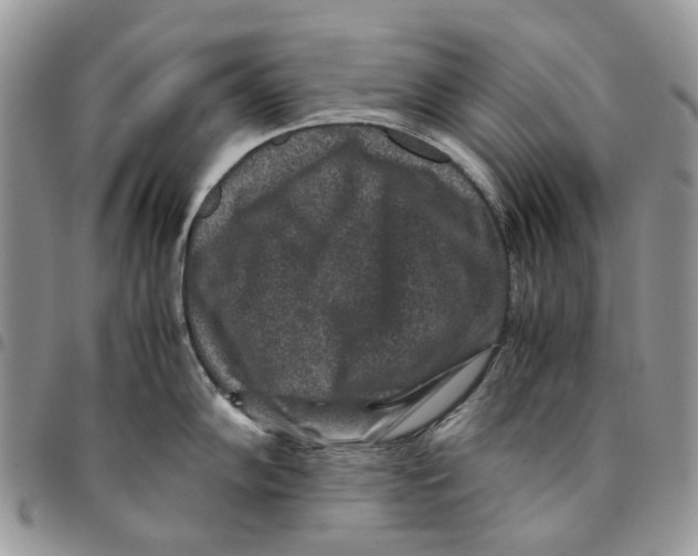 X0000094951102200712271652