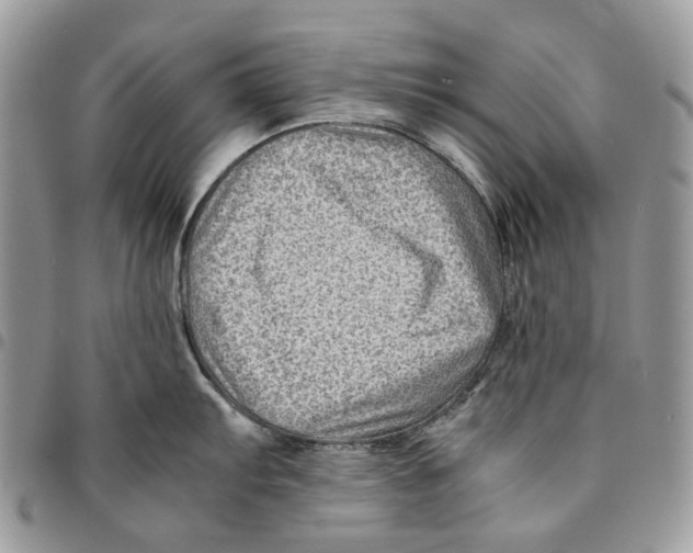 X0000094951103200712271652