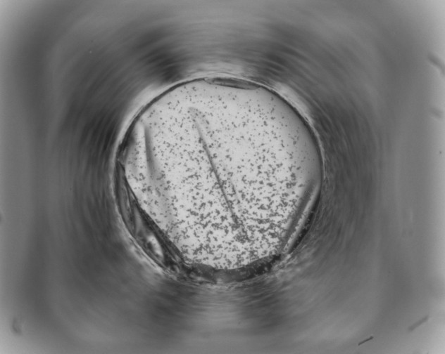 X0000094951104200712271652