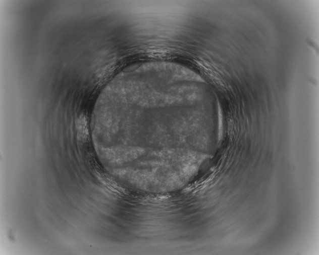 X0000094951106200712271651