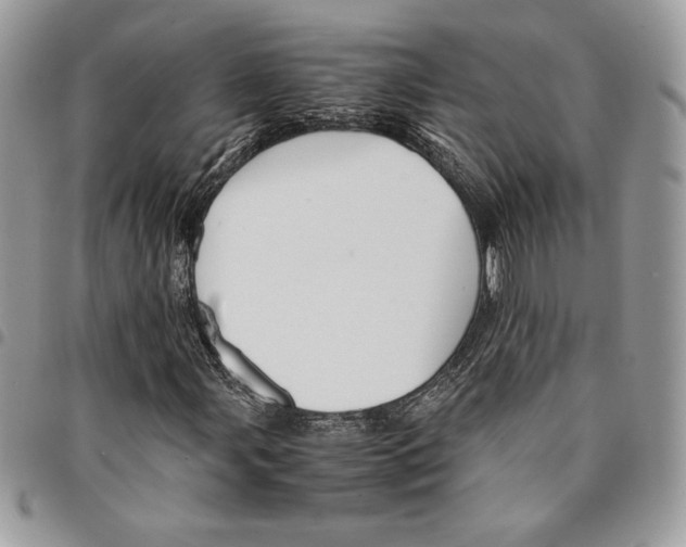 X0000094951107200712271651