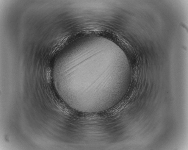 X0000094951108200712271651