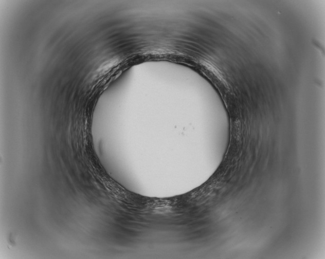 X0000094951111200712271651