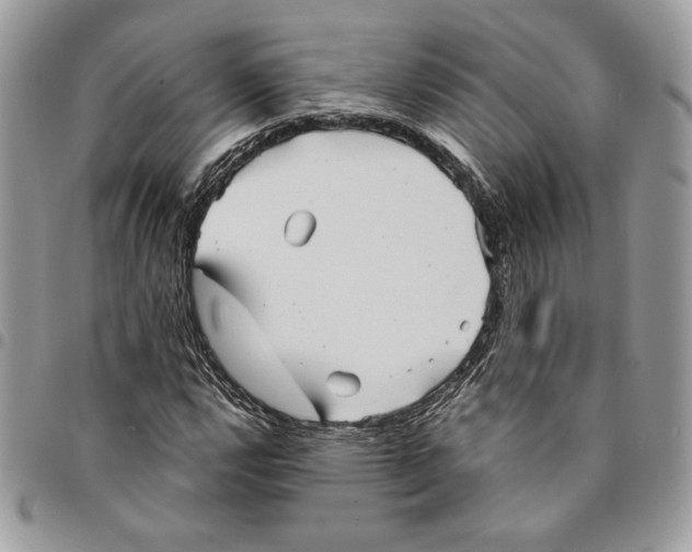 X0000094951112200712271651