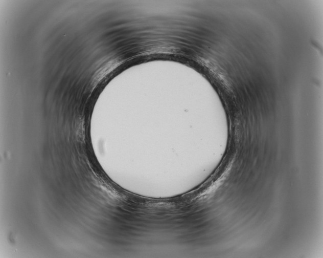 X0000094951113200712271651