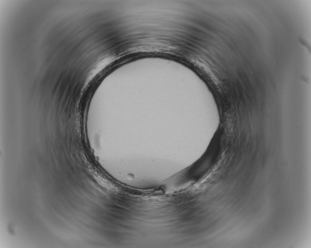 X0000094951114200712271651