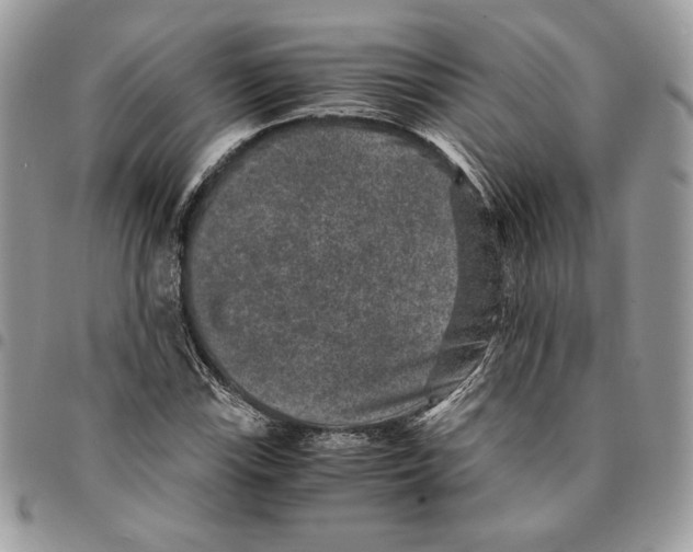 X0000094951115200712271651