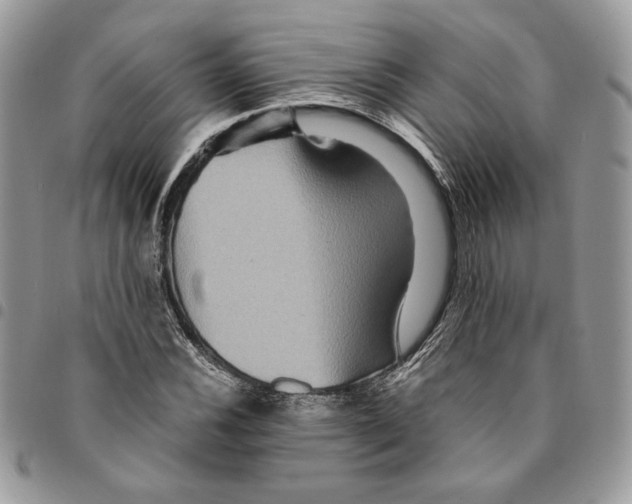 X0000094951116200712271651