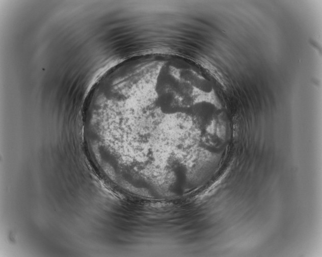 X0000094951117200712271651