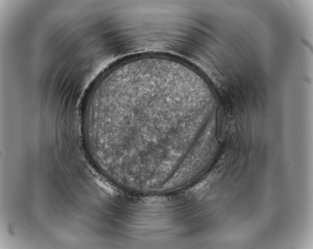 X0000094951118200712271651