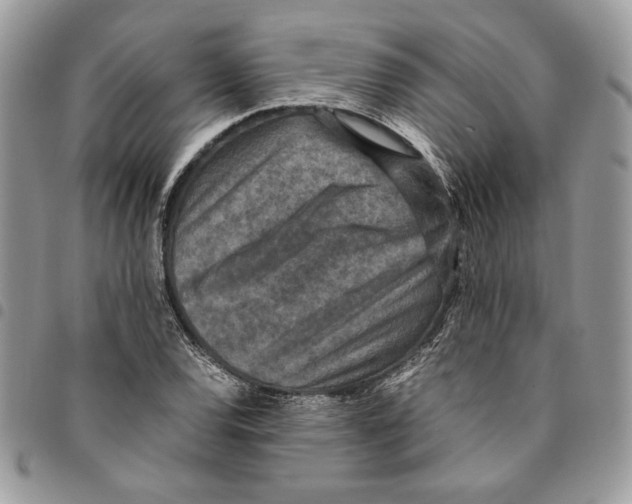 X0000094951120200712271651