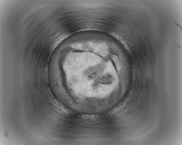 X0000094951121200712271651