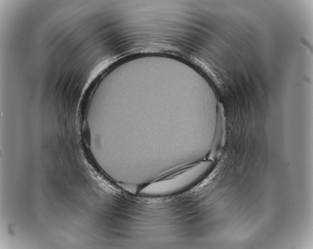 X0000094951122200712271651