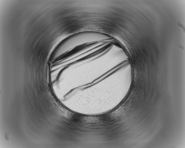 X0000094951123200712271651