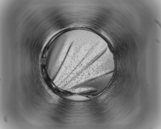 X0000094951124200712271651