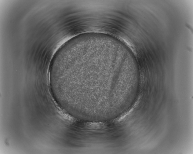 X0000094951125200712271651