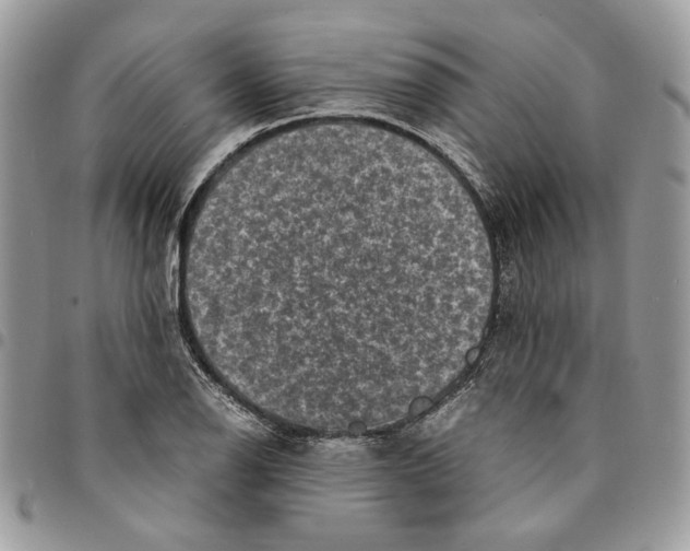 X0000094951126200712271651