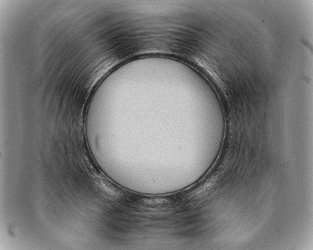 X0000094951129200712271651