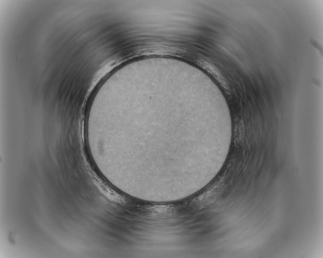 X0000094951130200712271652