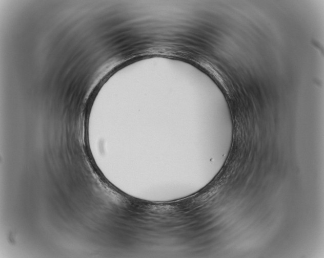 X0000094951131200712271652