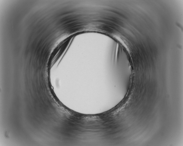 X0000094951133200712271652