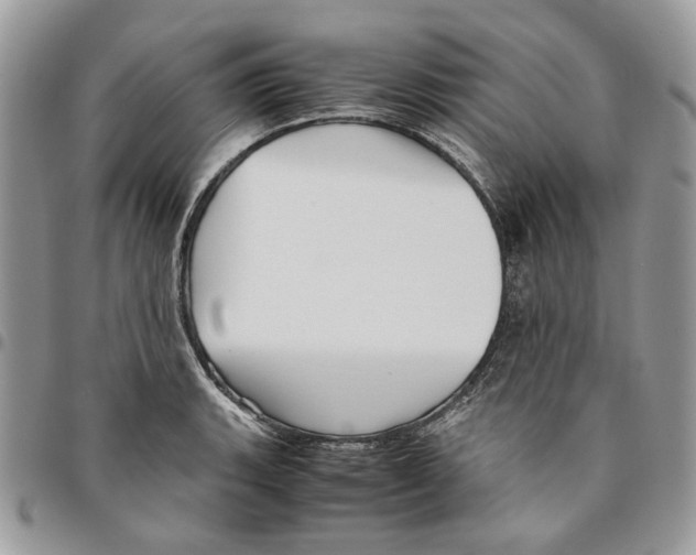 X0000094951135200712271652