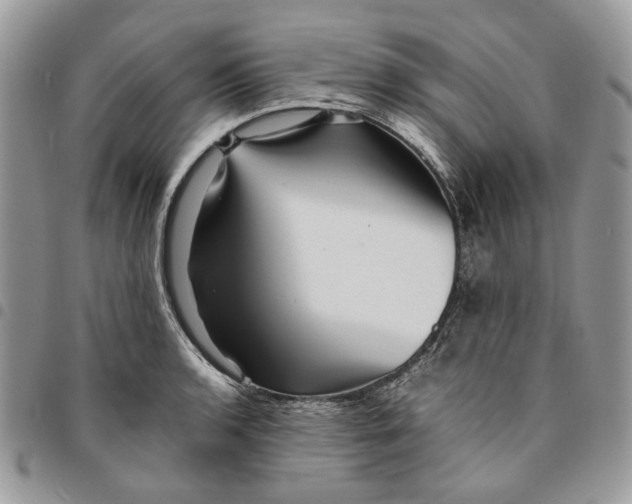 X0000094951136200712271652