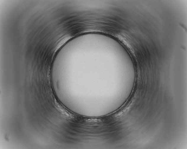 X0000094951137200712271652