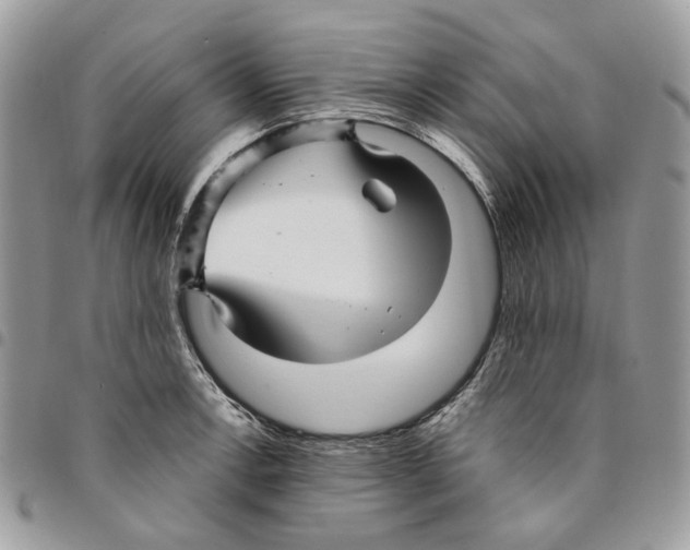 X0000094951138200712271652