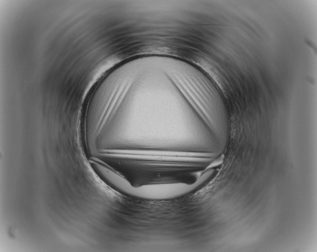 X0000094951139200712271652