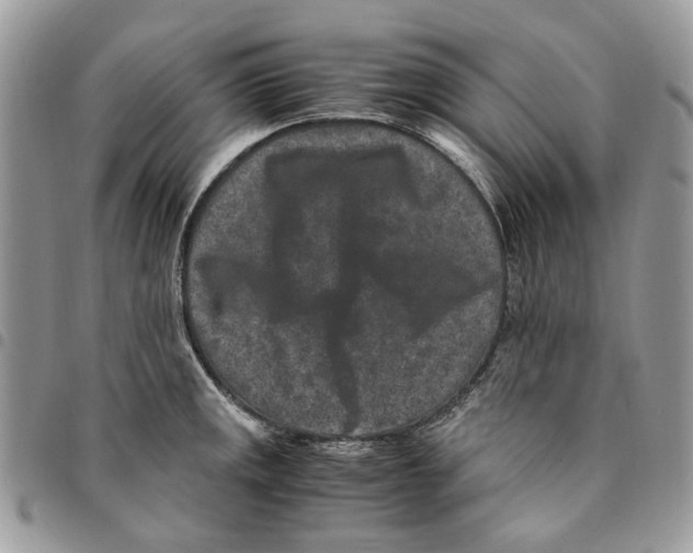 X0000094951141200712271652