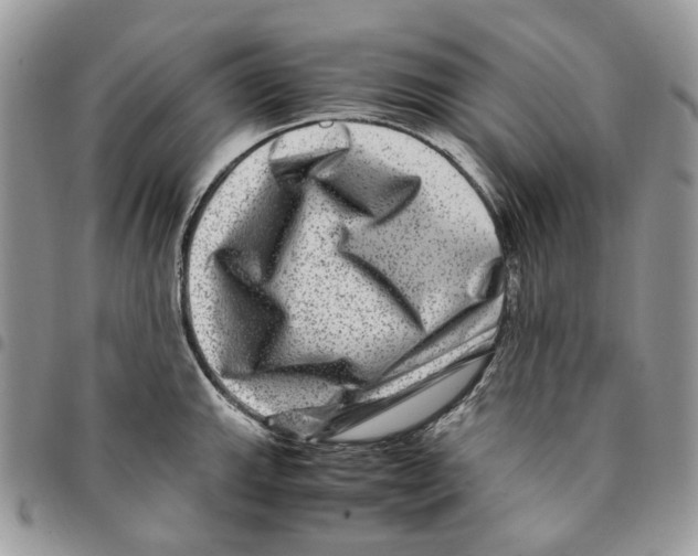 X0000094951143200712271652