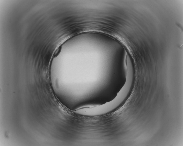 X0000094951145200712271652