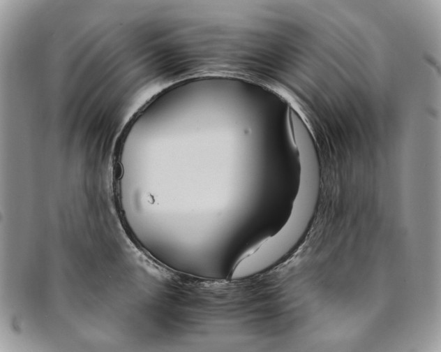 X0000094951147200712271652