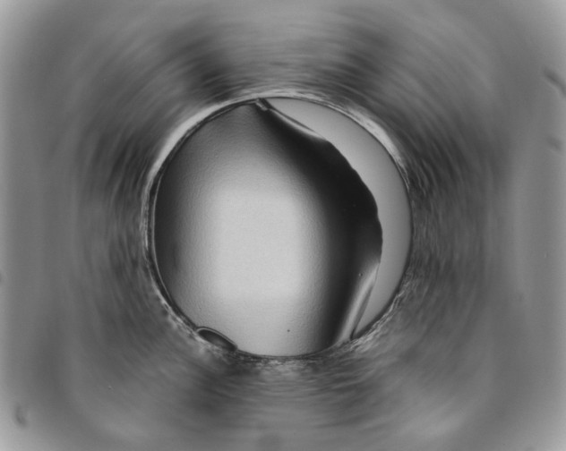 X0000094951148200712271652