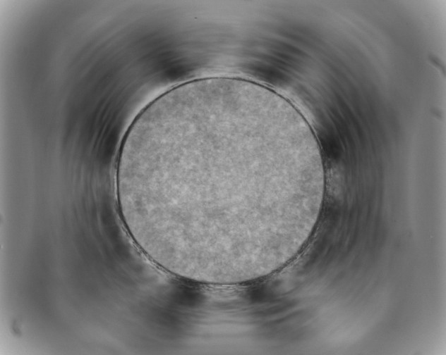 X0000094951150200712271652