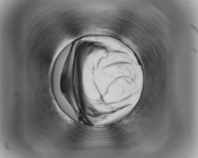 X0000094951152200712271652