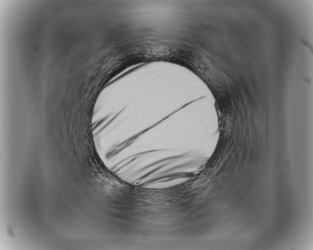 X0000094951153200712271651