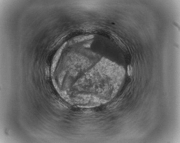 X0000094951155200712271651