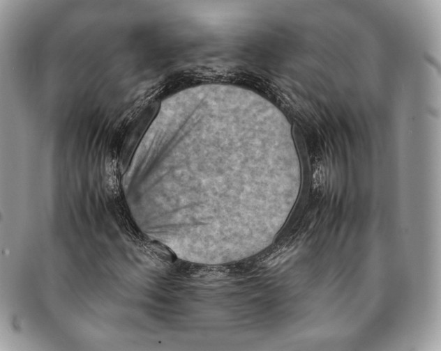 X0000094951156200712271651