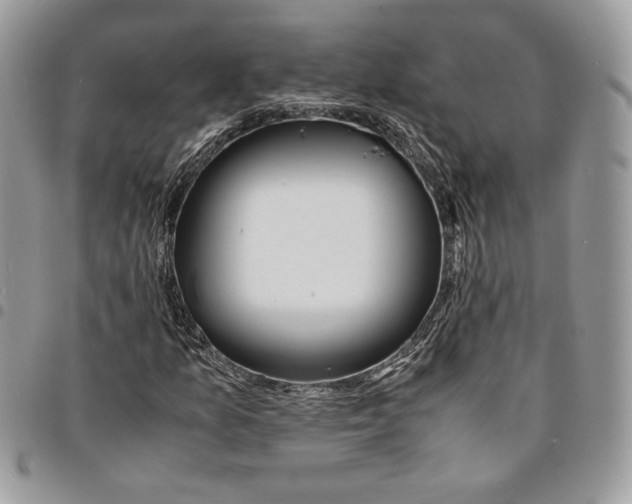 X0000094951157200712271651