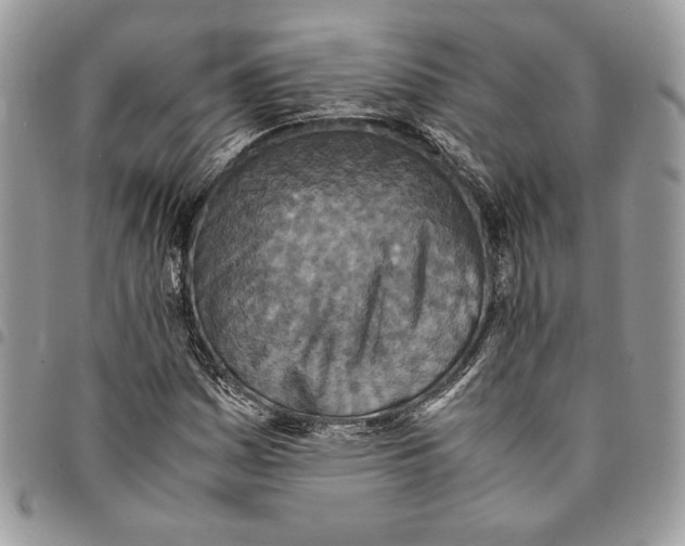 X0000094951161200712271651