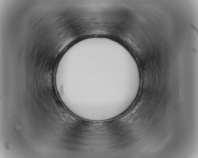 X0000094951162200712271651